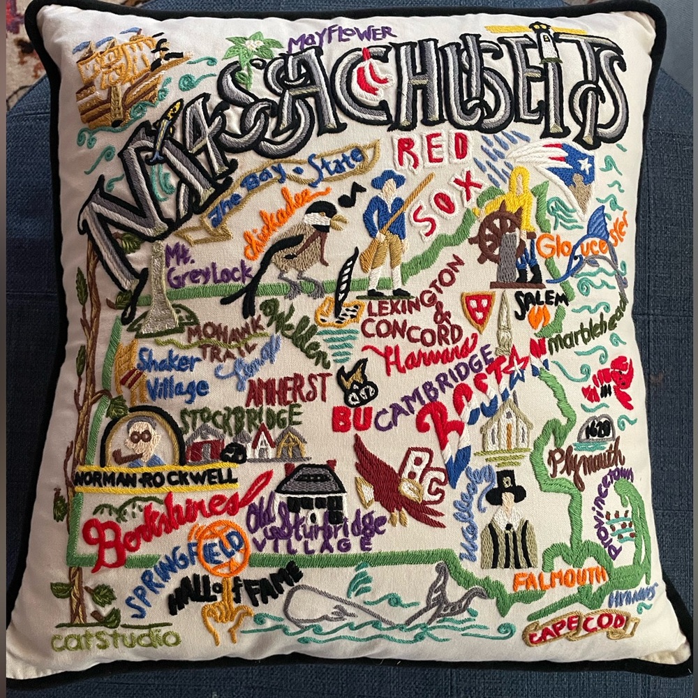 Cat Studio Massachusetts pillow